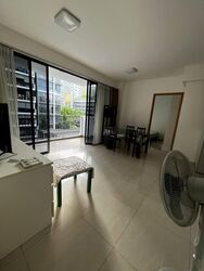 La Fiesta (D19), Condominium #555596601